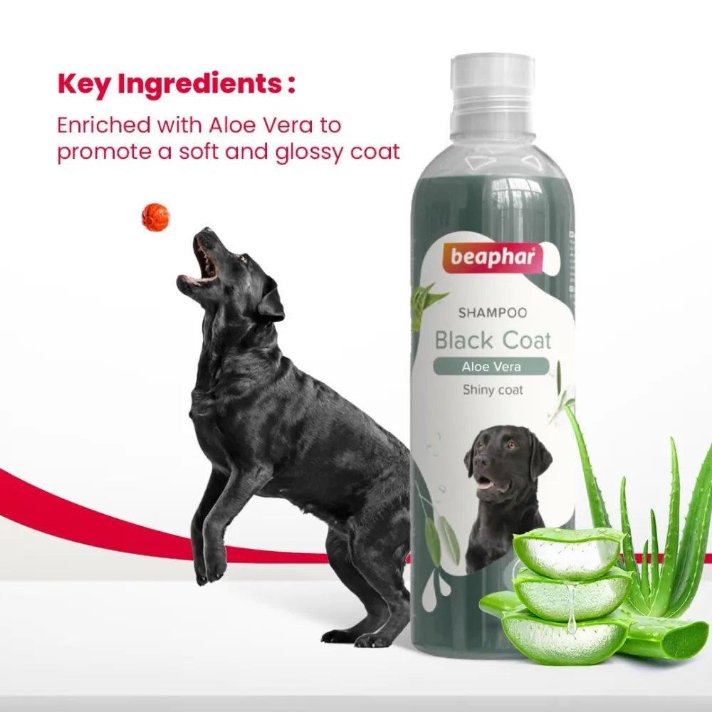 Beaphar Aleo Vera & Herbal Black Coat Shampoo for Dogs
