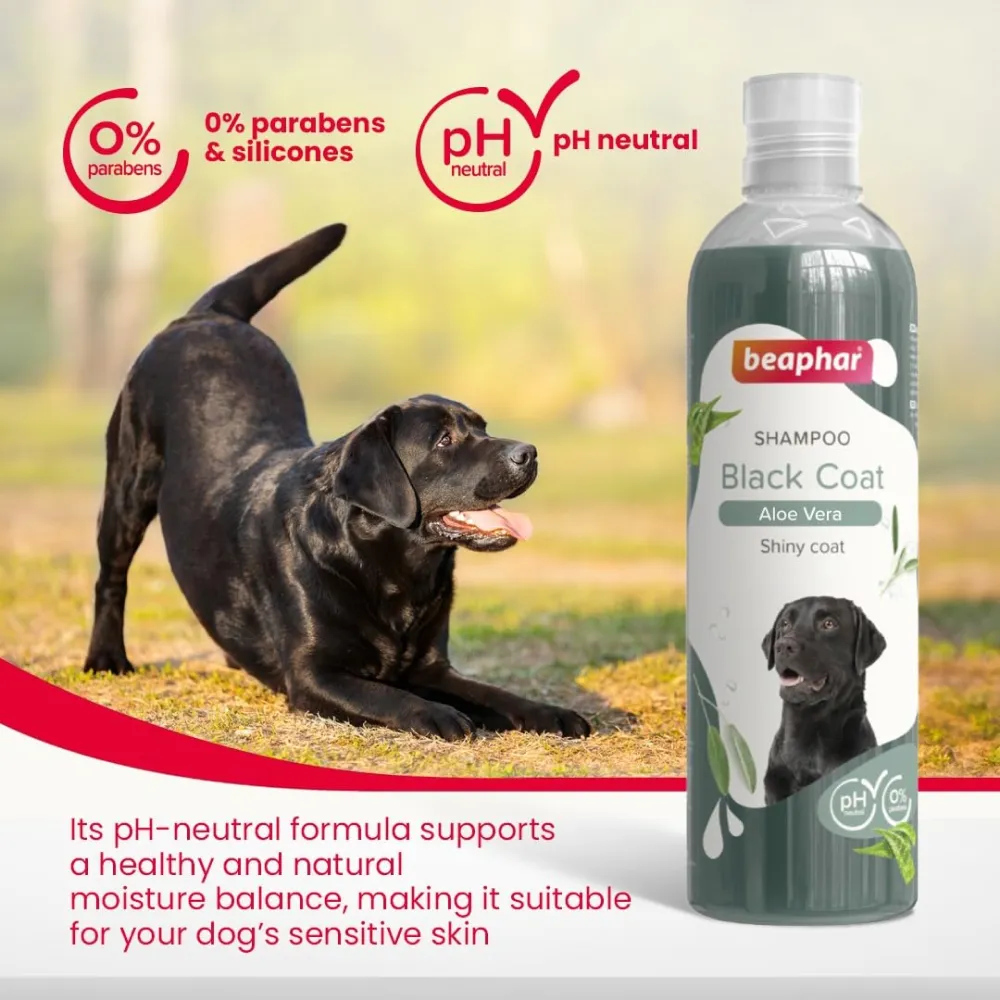 Beaphar Aleo Vera & Herbal Black Coat Shampoo for Dogs