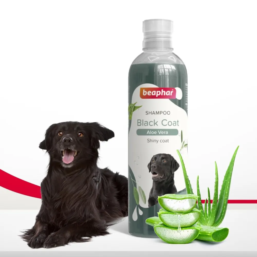 Beaphar Aleo Vera & Herbal Black Coat Shampoo for Dogs