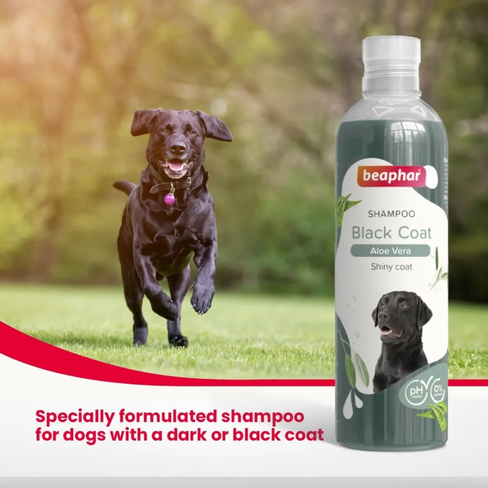 Beaphar Aleo Vera & Herbal Black Coat Shampoo for Dogs
