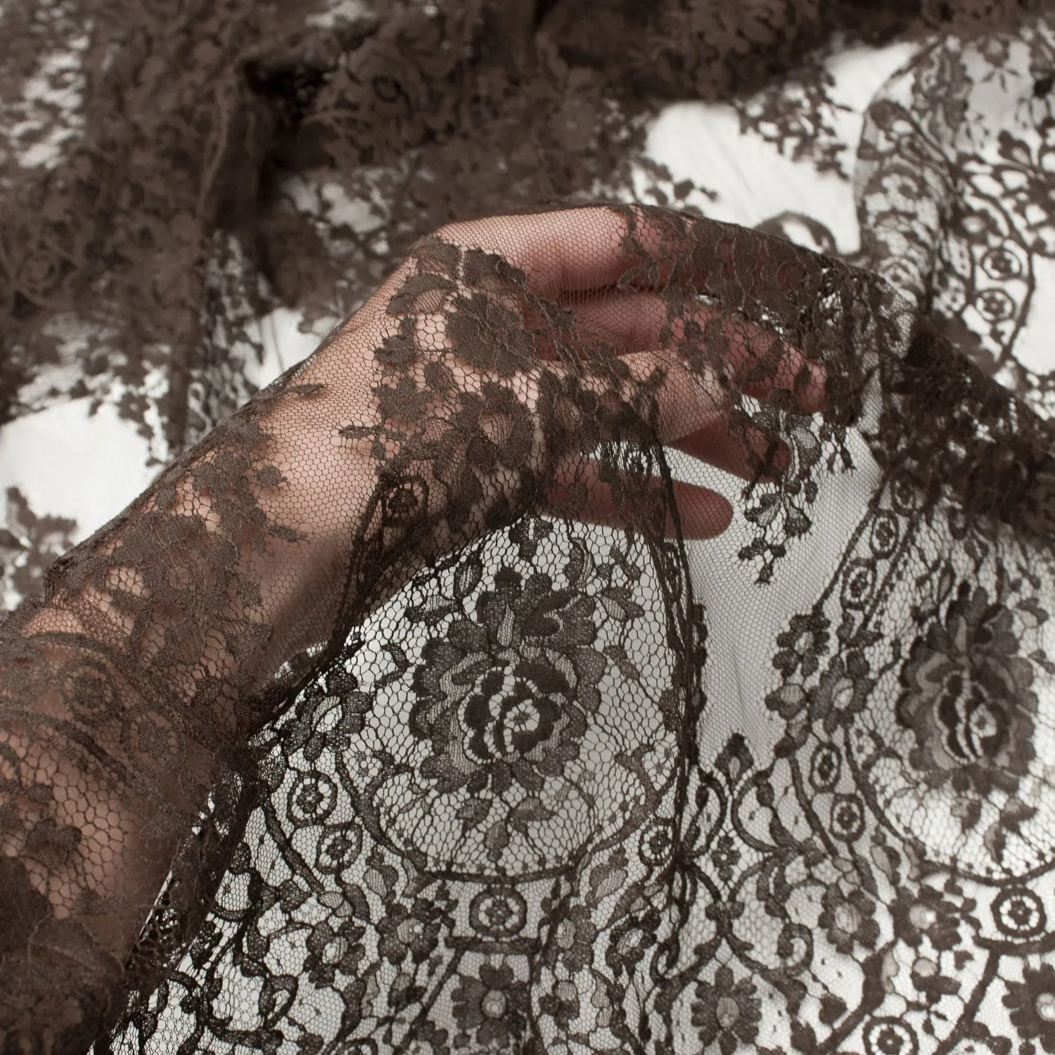 Jacklin Brown Lace