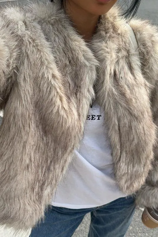 Ladies Light Luxury Warm Fur Short Coat