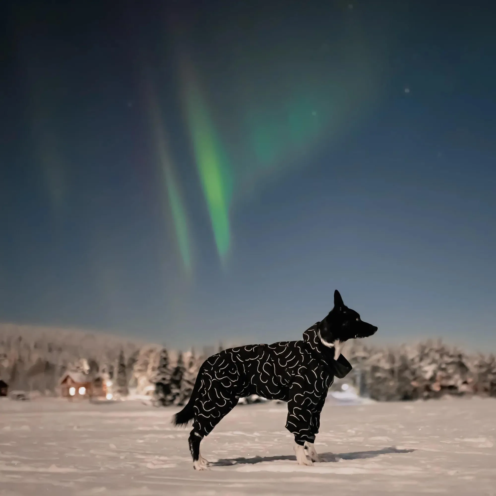 Paikka Dog Winter Suit Black