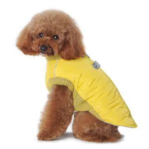 RUNNER DOG COAT YELLOW