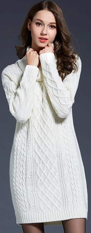 Turtle Neck Knitting Long Sweater