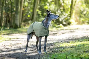 Tweed Lurcher / Greyhound Coat